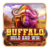 Buffalo Hold and Win